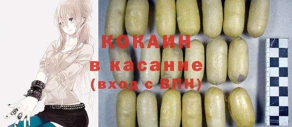 гашик Аркадак