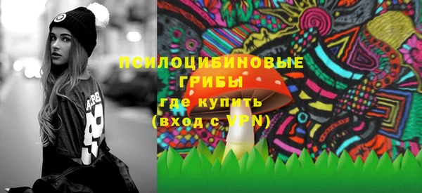 гашик Аркадак
