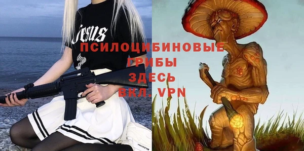 дмт Арсеньев