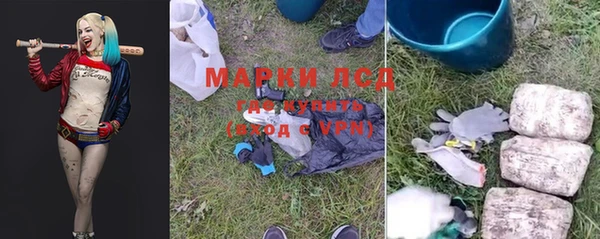 гашик Аркадак