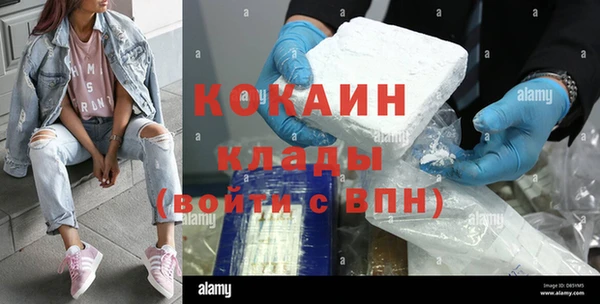 гашик Аркадак