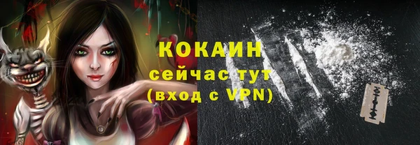 гашик Аркадак