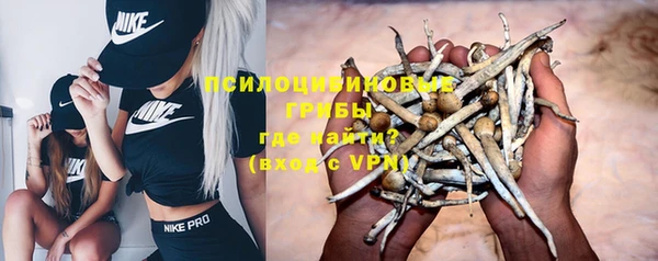 дмт Арсеньев